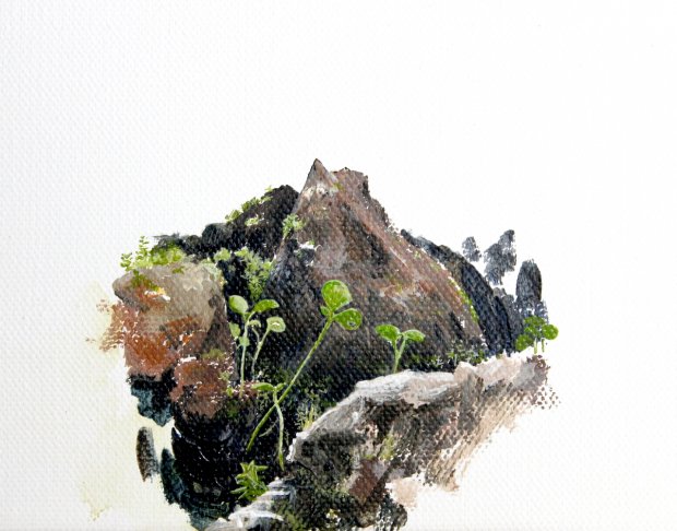 discovered world, 30x60cm