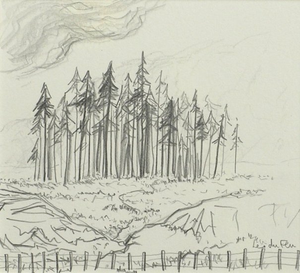 firs & a fence, seen from the train, 10x11cm