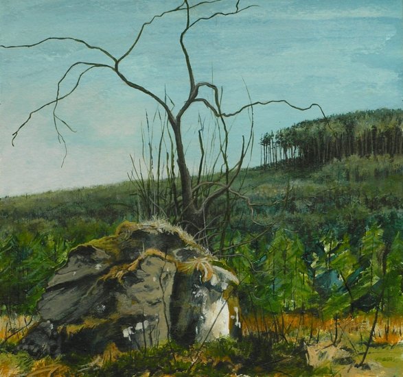 in the Bin Forest by Huntly, 14x15cm