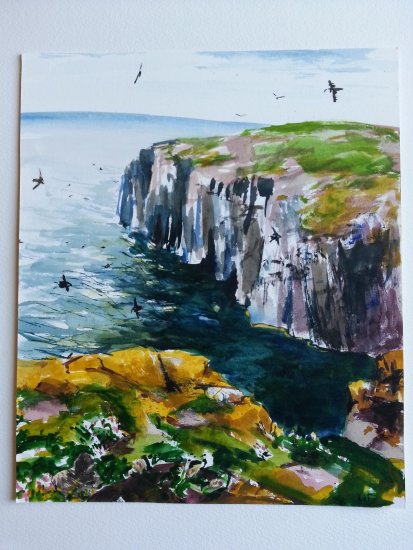 Isle of May, 2014 (11)