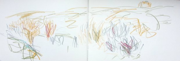 Isle of May, April 2016 (17)