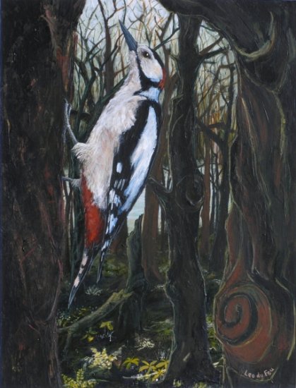 great spotted woodpecker, 28x37cm