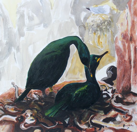 nesting shags, 25x30cm