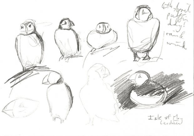 puffin day, 5.30pm, 15x21cm
