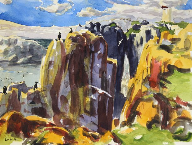 seabird cliffs, Isle of May, 31x41cm