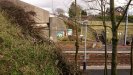 Dalry Station - The Nature of Dalry