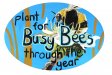 hand-painted signs for Burntisland Biodiversity Station Garden